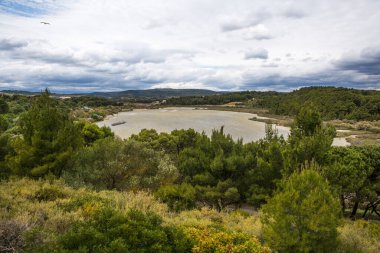Büyük Beyaz Doğu Pelikanı (Pelecanus Onocrotalus) ve Pembe Sırtlı Pelikan Sürüsü (Pelecanus Rufescens) Fransa 'daki Sigean Vahşi Yaşam Safari Parkı' nda