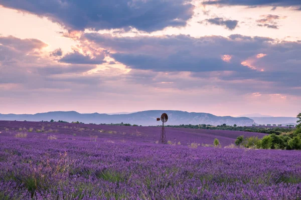 Rolling Lavendar Fields Wiatrak Valensole Francji Zachodzie Słońca — Zdjęcie stockowe