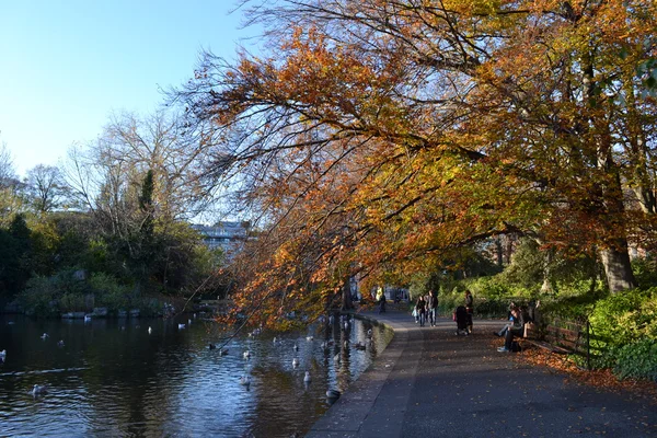 Árvores e lago em um parque — Fotografia de Stock