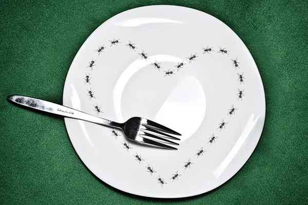 Тарелка с муравьями — стоковое фото