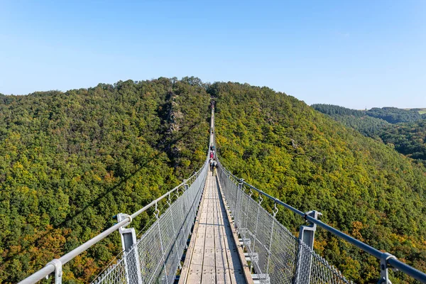 Upphängning Träbro Med Stålrep Över Tät Skog Västtyskland — Stockfoto