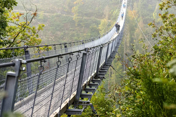 Suspensão Ponte Madeira Com Cordas Aço Sobre Uma Floresta Densa — Fotografia de Stock