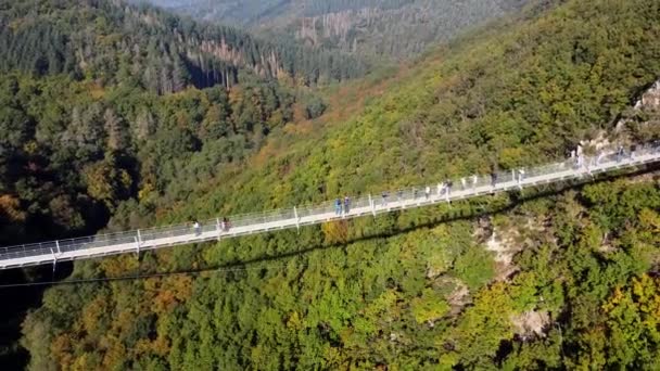 西ドイツの鬱蒼とした森の上に鋼のロープで吊られた木製の橋を飛ぶ無人機からのビデオ 橋の上を歩く可視観光客 — ストック動画
