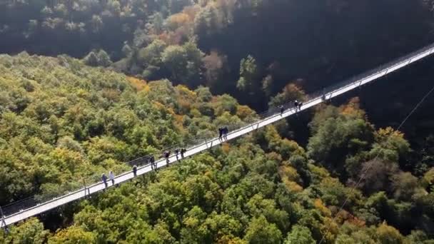Vídeo Drone Voando Sobre Uma Ponte Madeira Suspensa Com Cordas — Vídeo de Stock