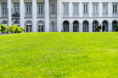 Parktaki yemyeşil çimenlik güzel tarihi bir sarayın önünde, seçici bir odak noktası..
