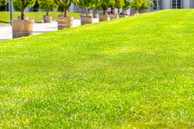 Arka planda, güzel tarihi bir sarayın önündeki yemyeşil çimenler, beyaz çakıl taşlarından yapılmış toprak bir yolda yürüyen turistler..