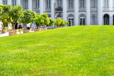 Arka planda, güzel tarihi bir sarayın önündeki yemyeşil çimenler, beyaz çakıl taşlarından yapılmış toprak bir yolda yürüyen turistler..