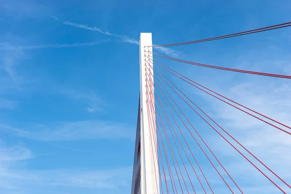 Gran Puente Cable Autopista Alemana Sobre Río Rin Situado Contra —  Fotos de Stock