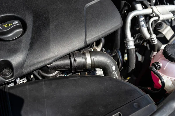 Dizel Motora Soğutuculu Plastik Tüp Giriyor Pembe Bir Sıvı Deposu — Stok fotoğraf