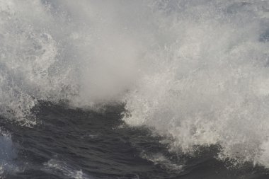 bir katamaran köpüklü izleme