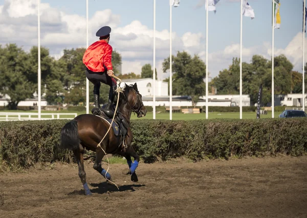 Rostov aan de Don, Rusland-september 22 - de renner rijdt een wit paard — Stockfoto