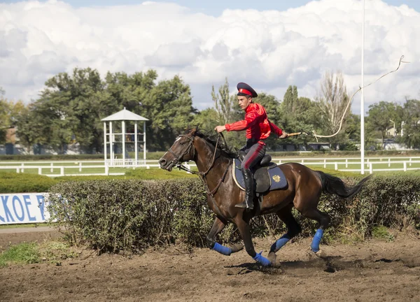 Rostov na Donu, Rusko září 22 - jezdec jede koně vtip — Stock fotografie