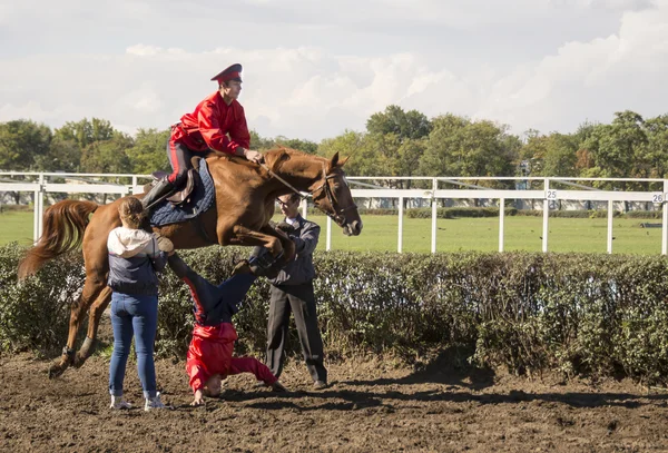 Rostov-on-don, russland-september 22 - der Reiter auf dem Pferd jum — Stockfoto