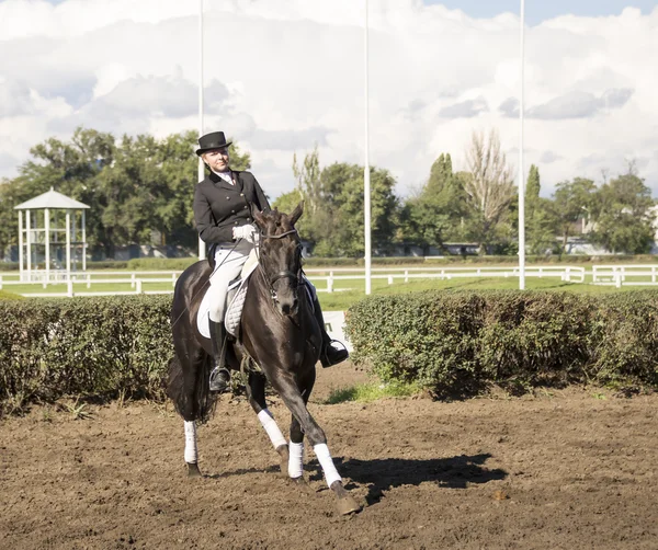 Rostov aan de Don, Rusland-september 22 - mooie ruiter op een paard — Stockfoto