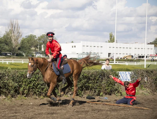 ROSTOV-ON-DON, RUSSIA-SEPTEMBER 22 - The horseman on a horse jum — Stock Photo, Image