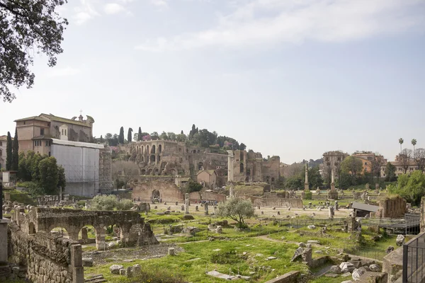 ローマのフォーラムを訪れる観光客 — ストック写真