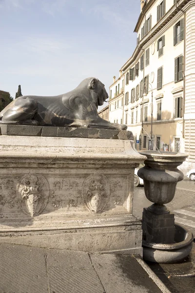 Egyptische Leeuwen aan de voet van de trap-cordonata. Rome — Stockfoto