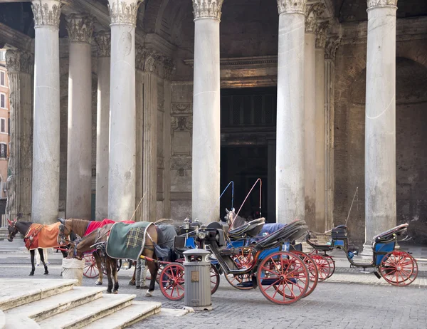 Kutsche mit Pferd gezeichnet erwarten passengers.rome — Stockfoto