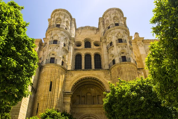 Malaga Katedrali cephe, Endülüs, İspanya — Stok fotoğraf