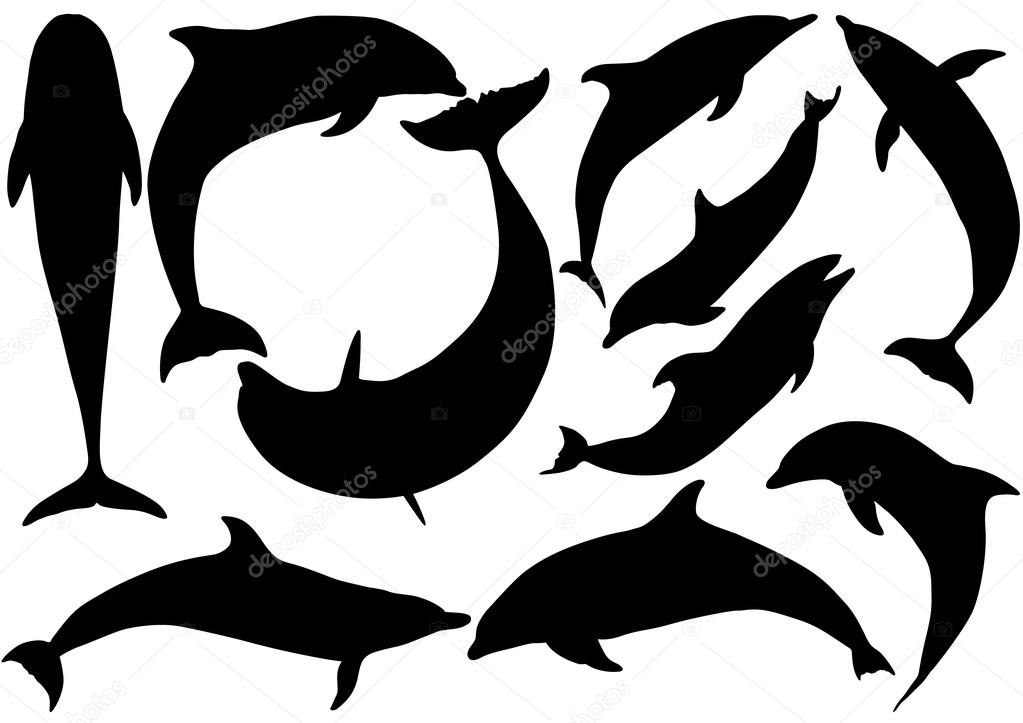 Dolphins vector silhouettes on white background. Layered. Fully editable