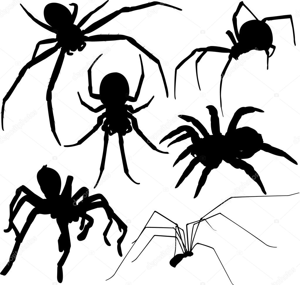 Spider vector silhouettes. Layered. Fully editable.