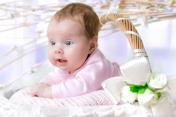 고리 버들 세공 바구니에 아기 소녀 — 스톡 사진