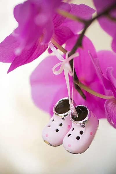 Крошечная декоративная коллекционная обувь, висящая на цветке орхидеи — стоковое фото