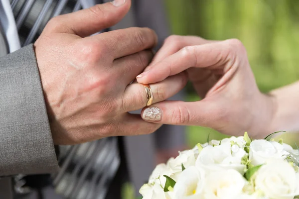 Wedding — Stock Photo, Image