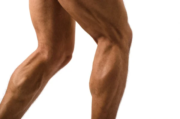 Close up on muscular bodybuilder male legs — Stock Photo, Image