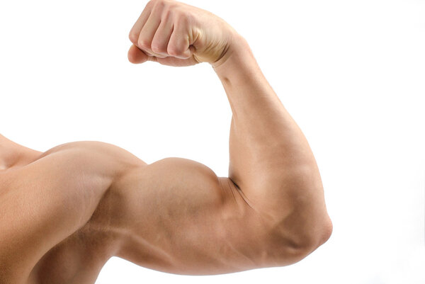 Close up on a bodybuilder biceps,shoulder,arm