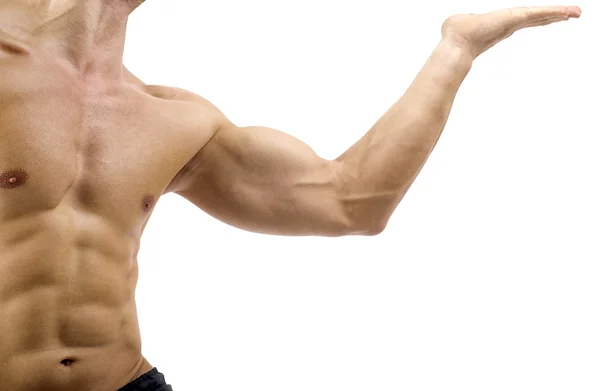 Strong bodybuilder man with perfect abs, shoulders,biceps, triceps and chest flexing his muscles — Stock Photo, Image