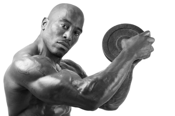 Bodybuilder träning med tung hantel. stark man med perfekta abs, axlar, biceps, triceps och bröst. isolerad på vit bakgrund — Stockfoto