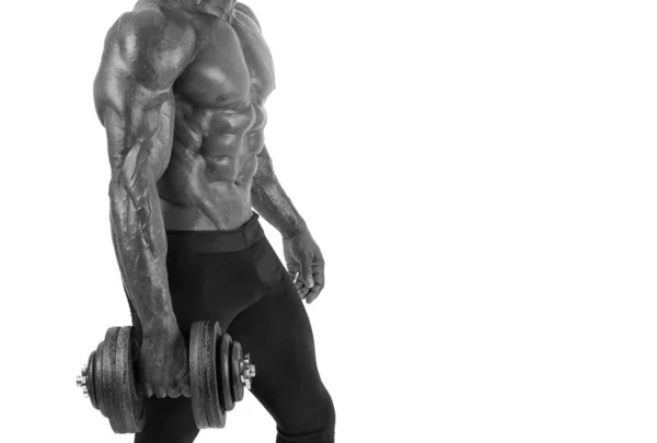 Eğitim ile ağır dumbbell vücut geliştiricisi. mükemmel abs, omuzlar, pazı, triceps ve göğüs olan güçlü bir adam. Beyaz arka plan üzerinde izole — Stok fotoğraf