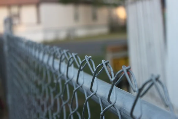 Along the Fence line — Stock Photo, Image