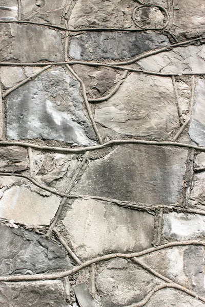 Stoney 벽 — 스톡 사진