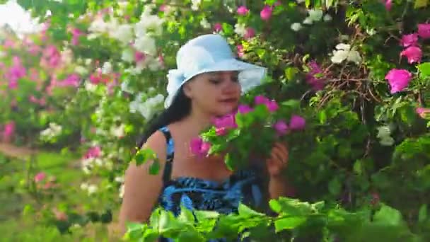 Een brunette vrouw met een blauwe hoed bewondert de bloeiende bougainvillea en ademt hun geur — Stockvideo