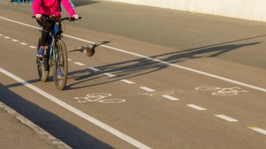 Geniş bir yolun kenarında yüzsüz işaretlerle dolaşan bir bisikletçi. Yatay fotoğraf