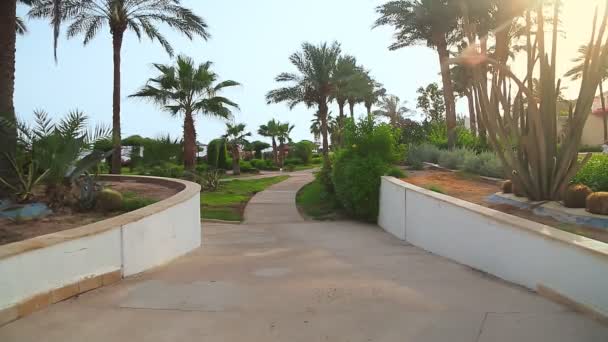 De tuin van het hotel ligt aan de zee van palmen en bougainville — Stockvideo