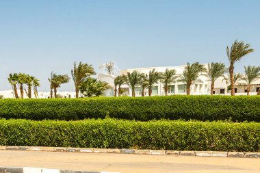 Yol boyunca üzerinde işaretler olan palmiye ağaçları ve yeşil alanlar.