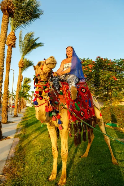 女人头戴斗篷，穿黑发工作服，犹如城市里骑骆驼的犹太女子. — 图库照片