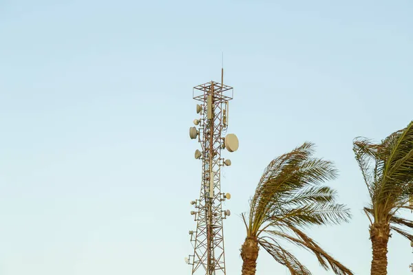 Digital communications tower next to palm trees against a blue sky in the wind. — Stock Photo, Image