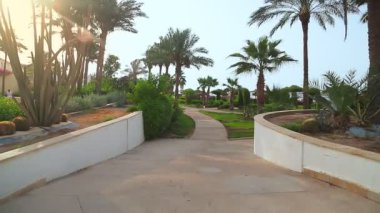 Otel bahçesi palmiyeler ve begonviller denizinin yanında.