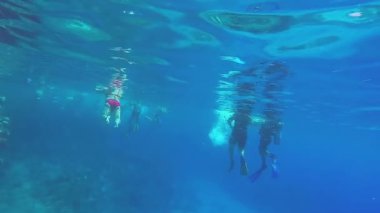 Temiz denizde yüzen insanlar, temiz suda. Genel plan