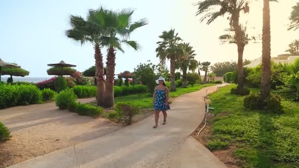 Żydówka w niebieskim kapeluszu i rozbierance przechadza się wśród kwitnących bugenwilli i palm datowanych wzdłuż wybrzeża Morza Czerwonego. — Wideo stockowe