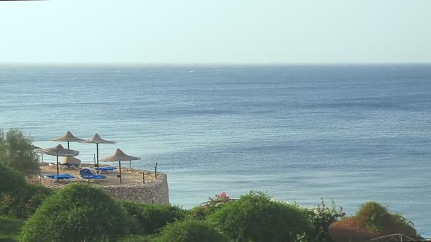 Vegetación floreciente y el cielo contra el fondo de la superficie del mar — Vídeos de Stock