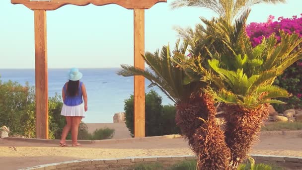 Una morena con sombrero azul en la terraza admira el mar y las palmeras — Vídeos de Stock