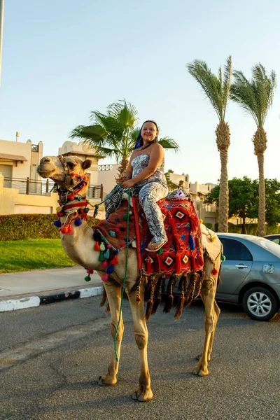 A woman in a brunette overalls in a cape on her head is a Jewess riding a camel in the city. — Stock Photo, Image