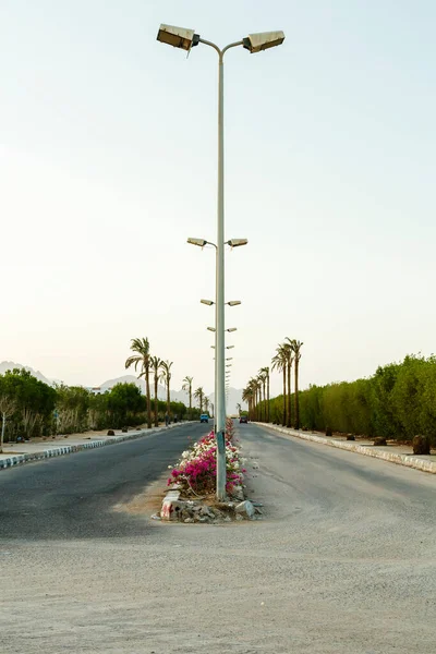 A highway in the middle of the desert with electric lighting poles. — 图库照片