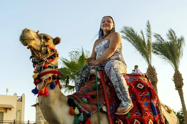 Mulher em um macacão morena montando um camelo. — Fotografia de Stock