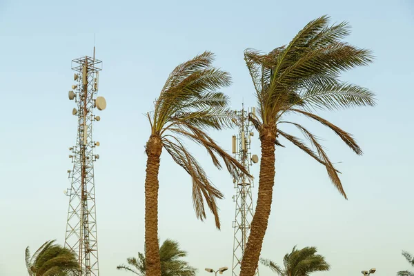 Cyfrowa wieża komunikacyjna obok palm na tle błękitnego nieba. — Zdjęcie stockowe